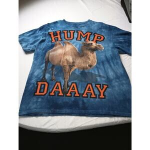 The Mountain VTG Short Sleeve Men's Blue Tie-Dye Hump Day T-Shirt, Size Large